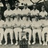 Cricket